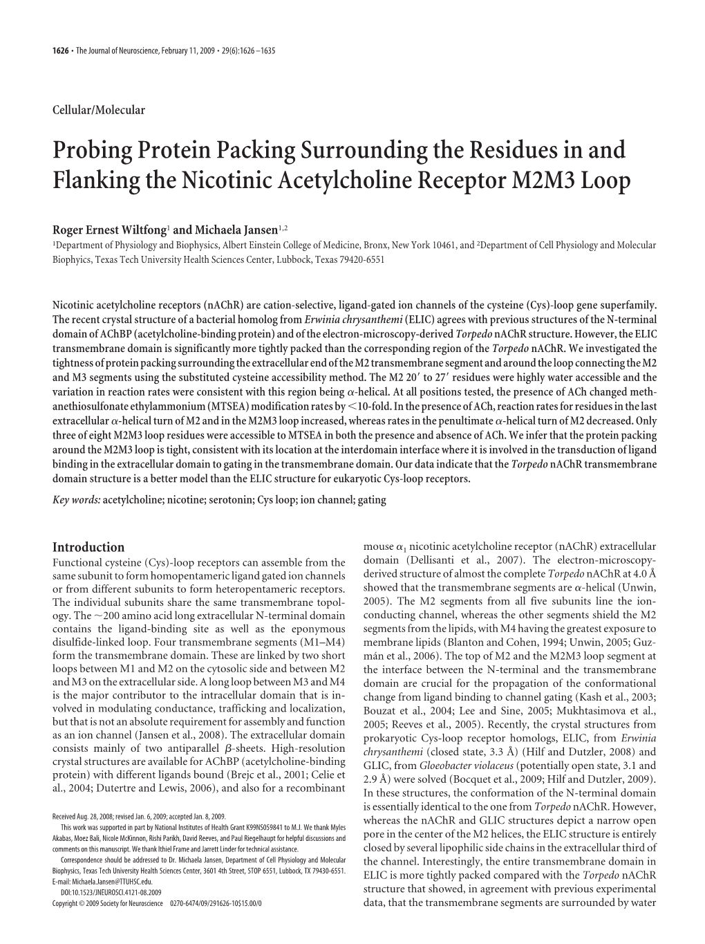 Probing Protein Packing Surrounding the Residues in and Flanking the Nicotinic Acetylcholine Receptor M2M3 Loop