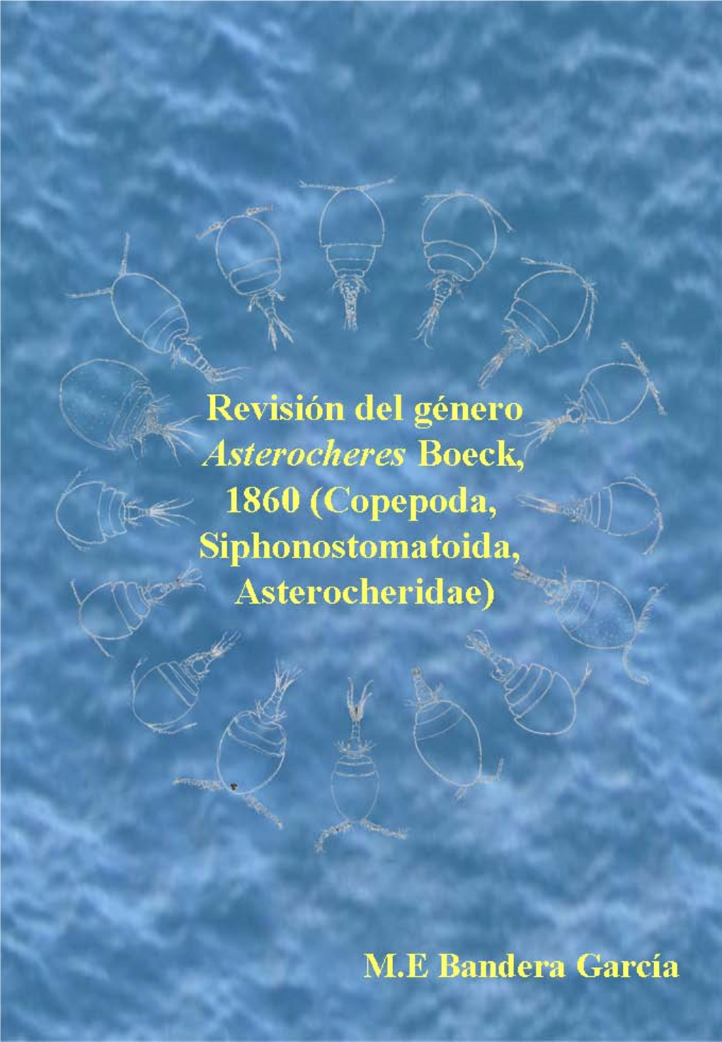 Copepoda, Siphonostomatoida, Asterocheridae)