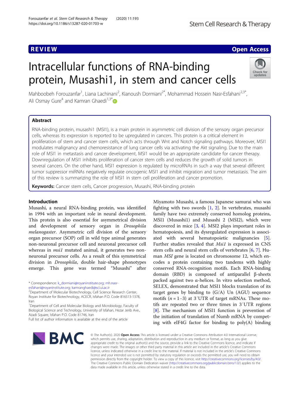 Intracellular Functions of RNA-Binding Protein, Musashi1, in Stem and Cancer Cells