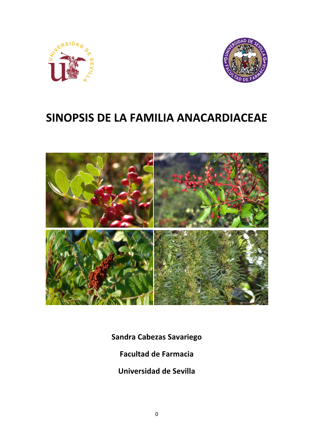 Sinopsis De La Familia Anacardiaceae