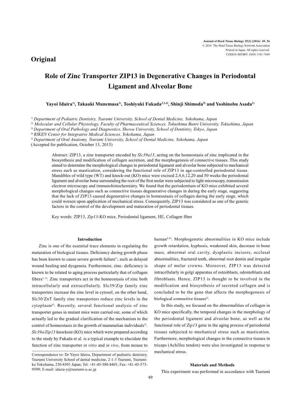 Original Role of Zinc Transporter ZIP13 in Degenerative Changes In