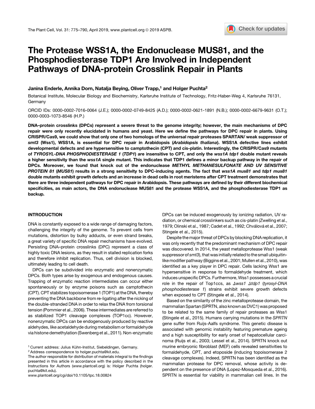 The Protease WSS1A, the Endonuclease MUS81, and the Phosphodiesterase TDP1 Are Involved in Independent Pathways of DNA-Protein Crosslink Repair in Plants