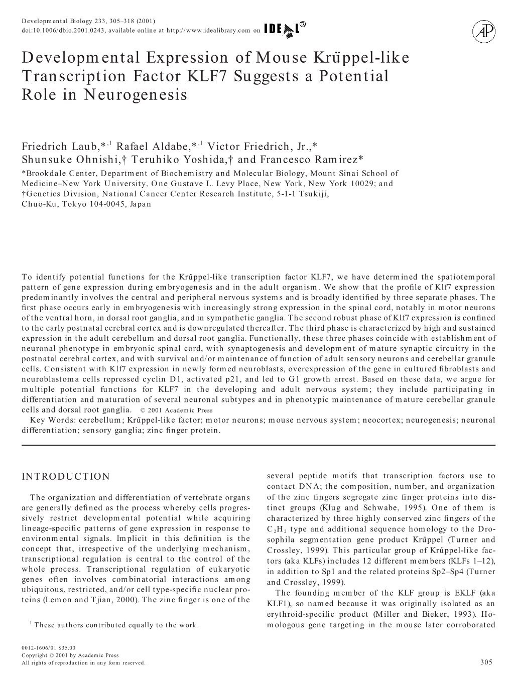 Developmental Expression of Mouse Kruppel-Like Transcription Factor