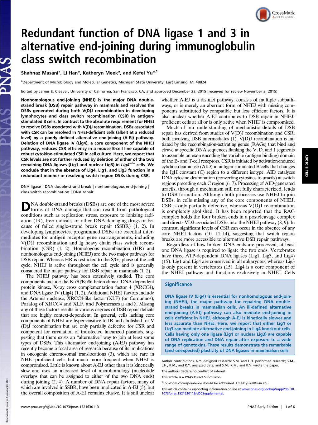 Redundant Function of DNA Ligase 1 and 3 in Alternative End-Joining During Immunoglobulin Class Switch Recombination