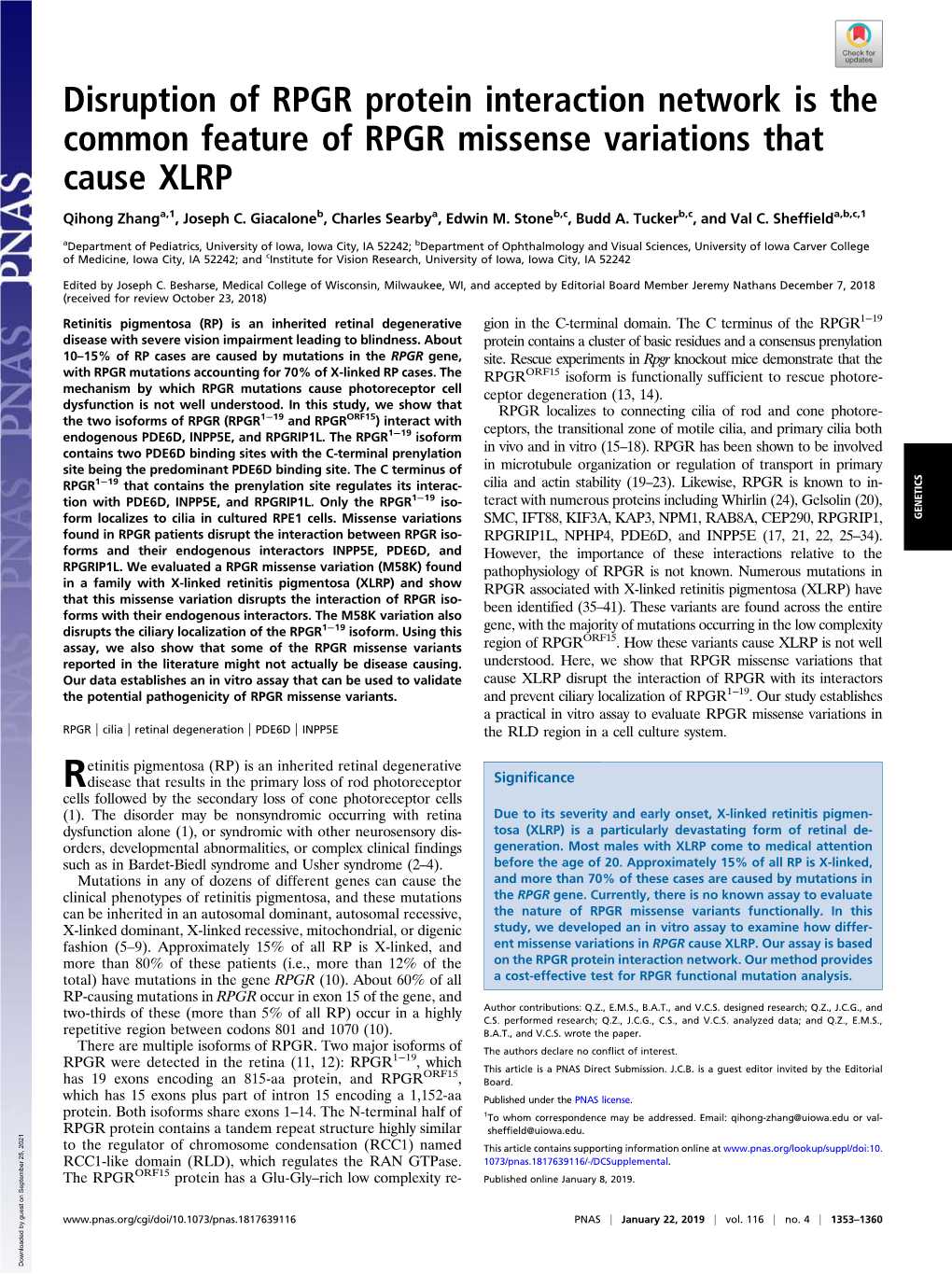 Disruption of RPGR Protein Interaction Network Is the Common Feature of RPGR Missense Variations That Cause XLRP