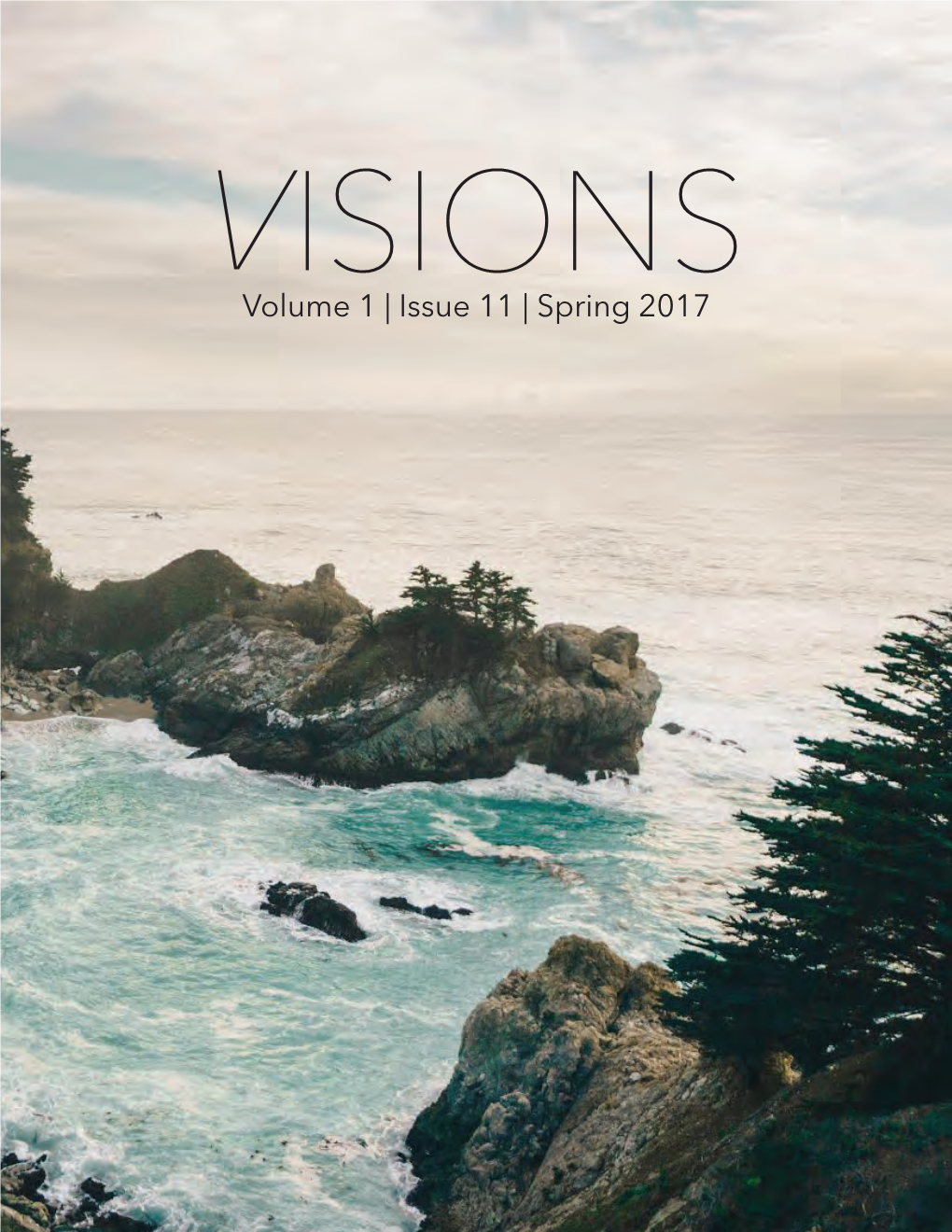 Spring 2017 About Visions