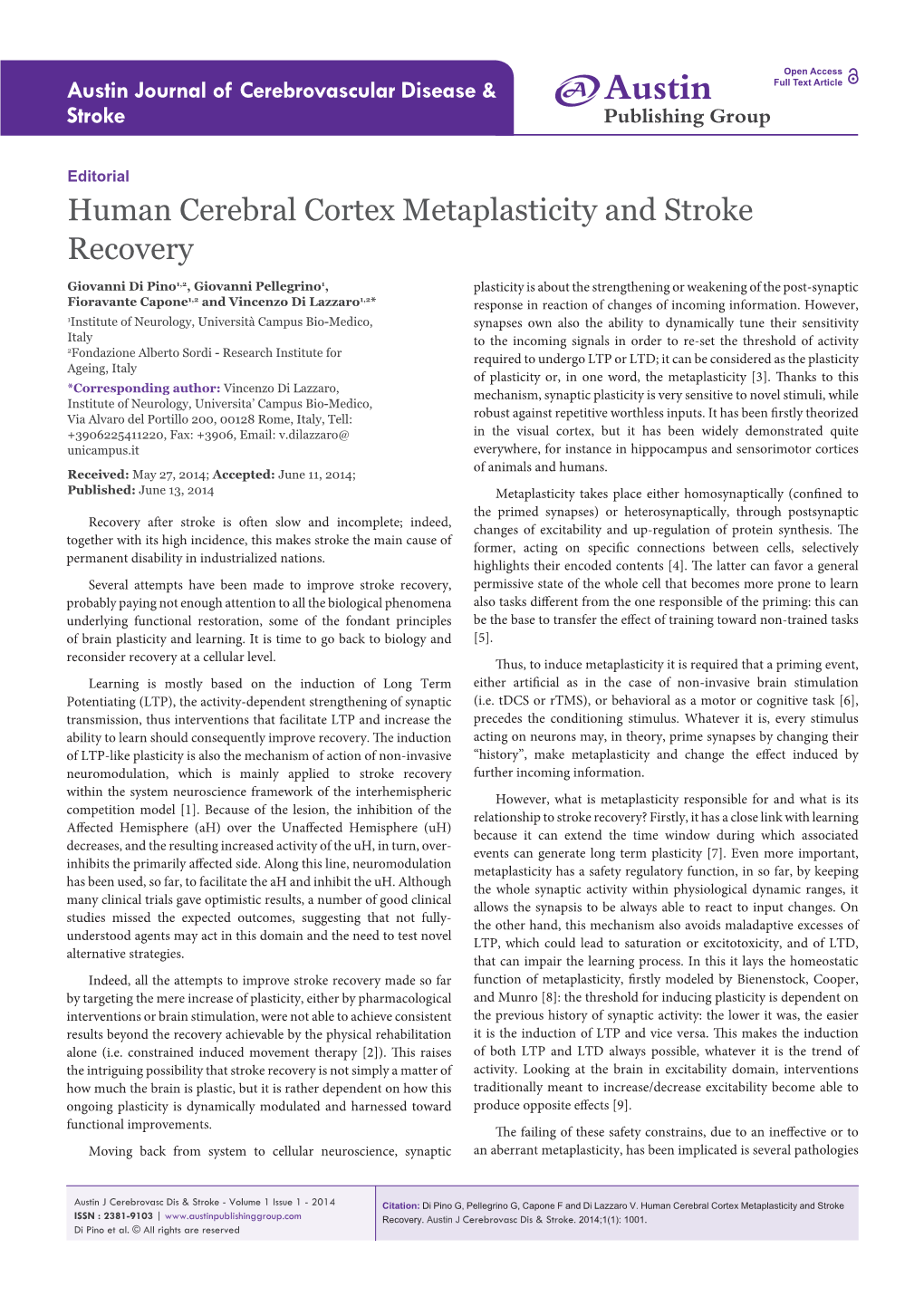 Human Cerebral Cortex Metaplasticity and Stroke Recovery