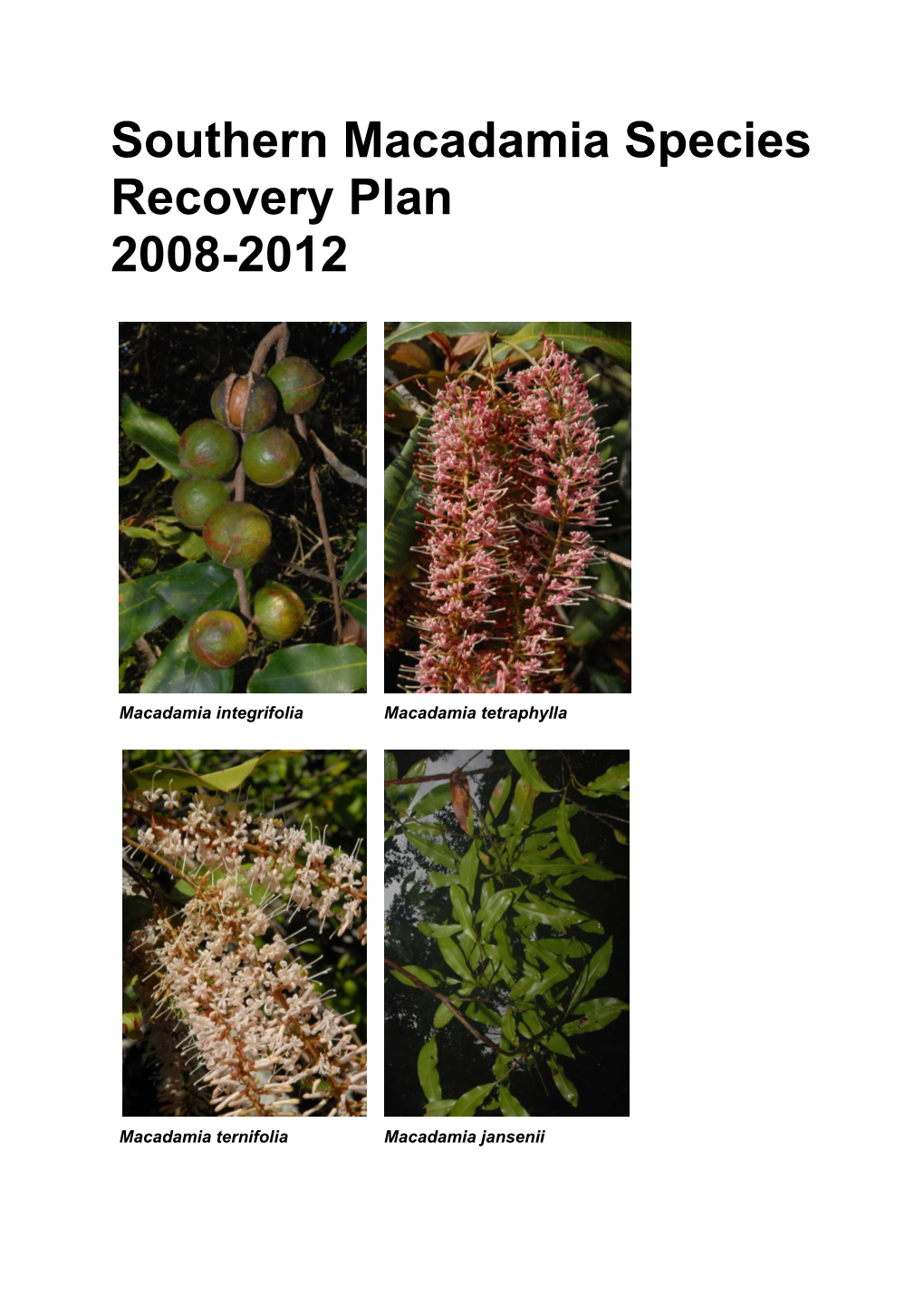 Southern Macadamia Species Recovery Plan 2008-2012