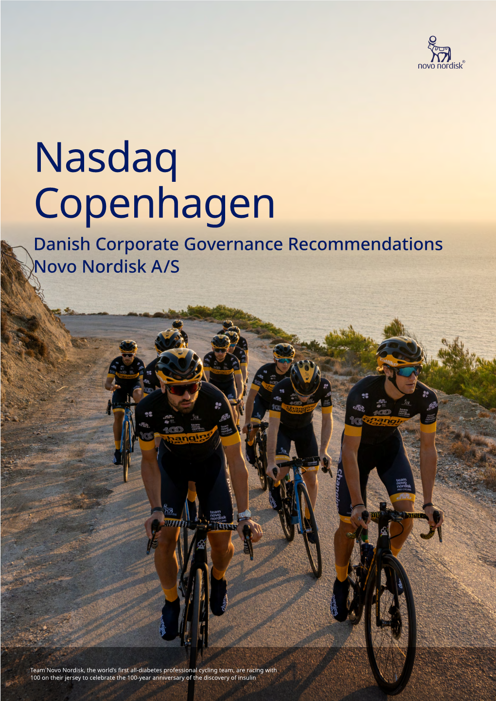 Danish Corporate Governance Recommendations Novo Nordisk A/S