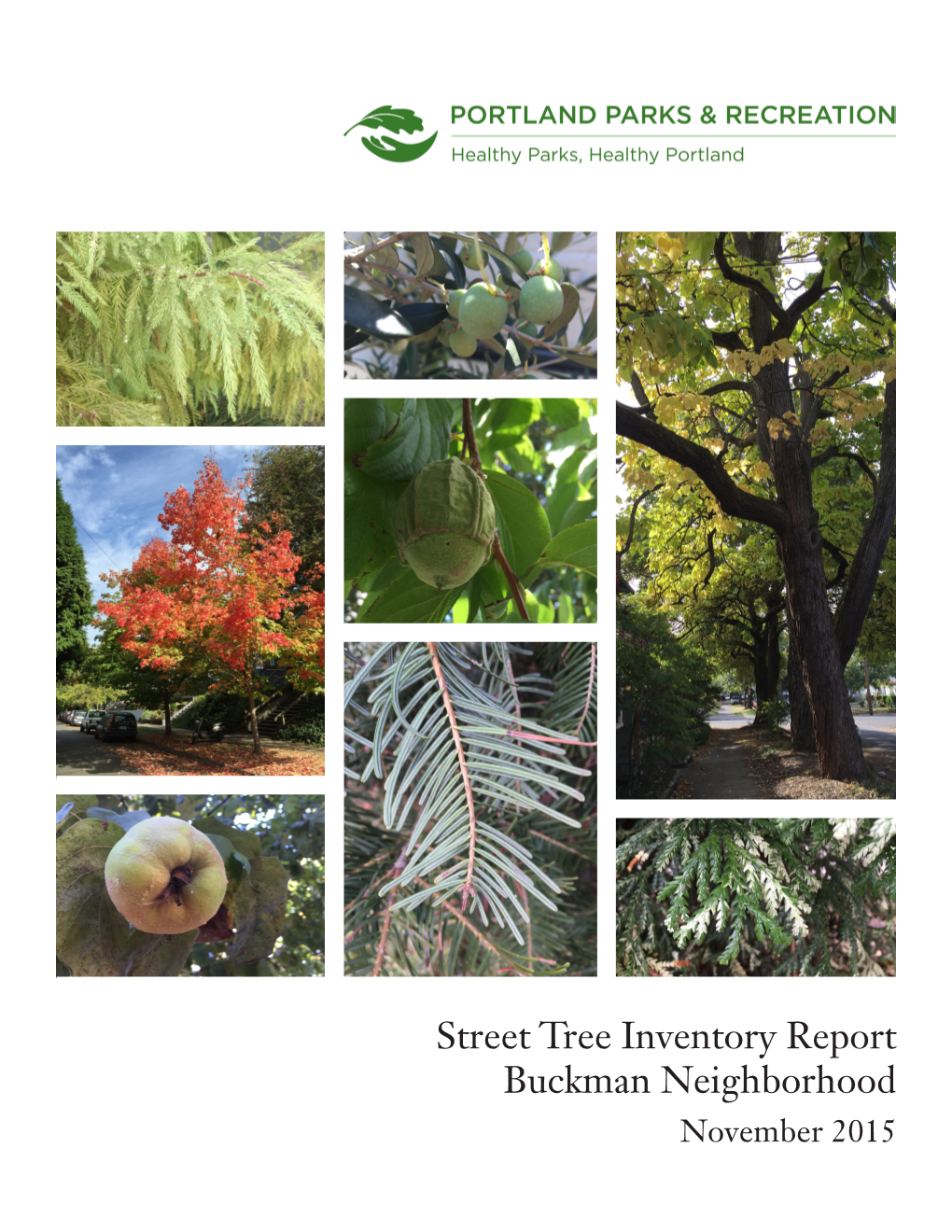 Street Tree Inventory Report Buckman Neighborhood November 2015 Street Tree Inventory Report: Buckman Neighborhood November 2015