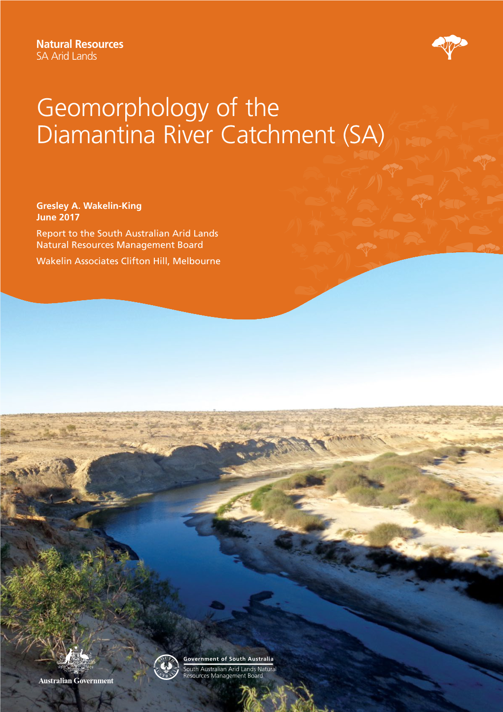 Geomorphology of the Diamantina River Catchment (SA)