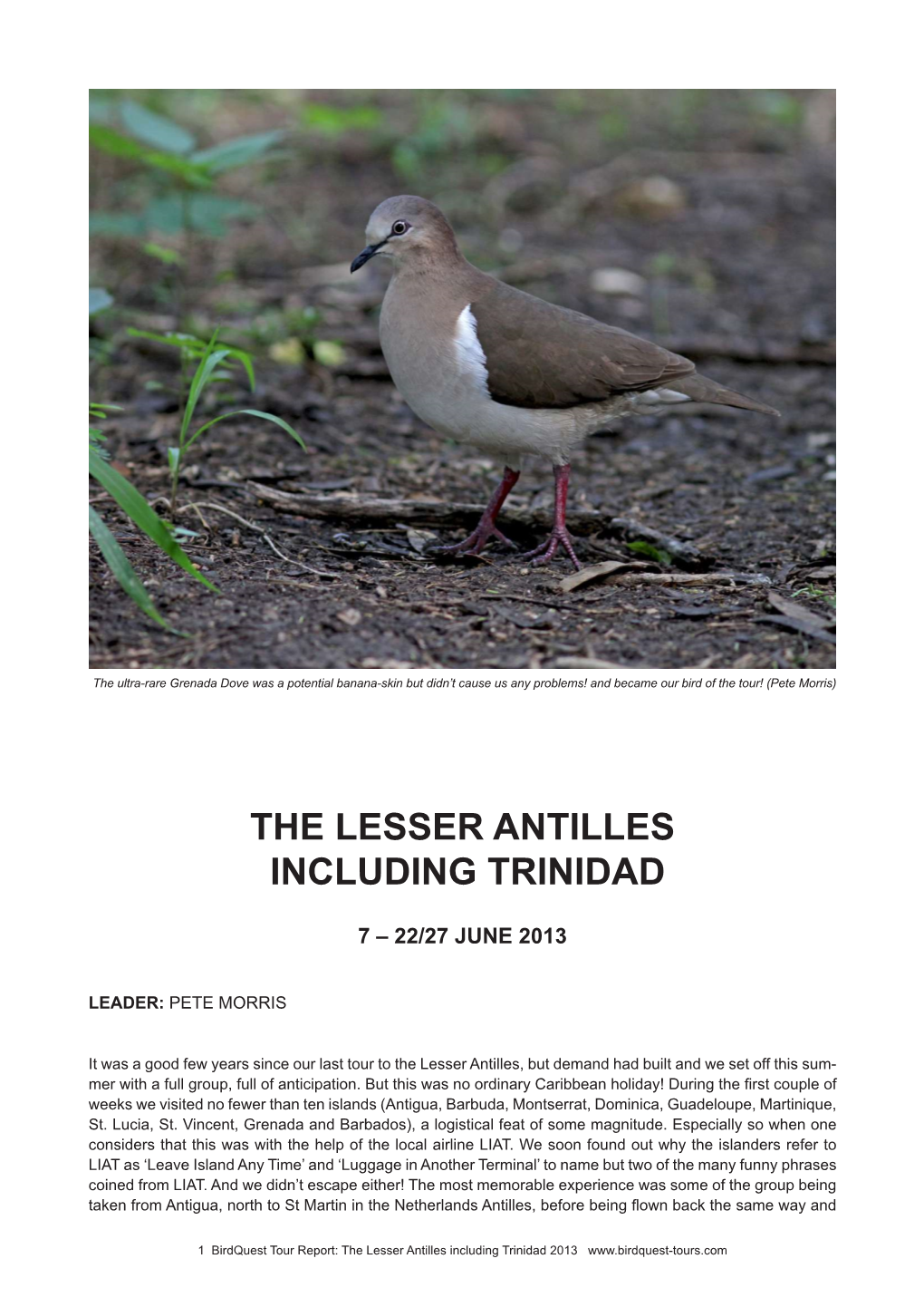 The Lesser Antilles Including Trinidad