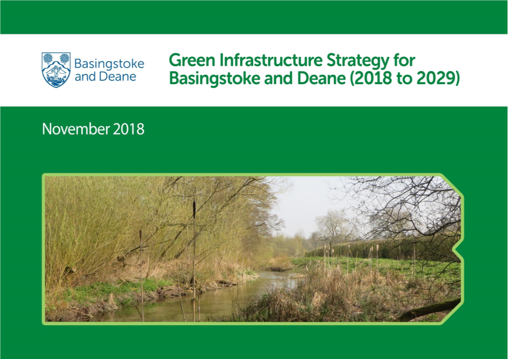 Green Infrastructure Strategy(PDF)
