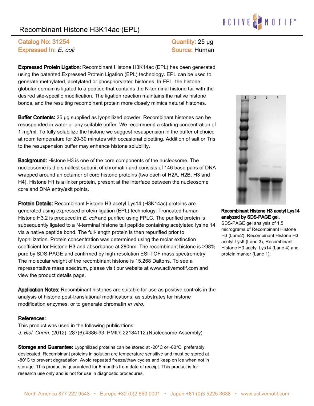 Recombinant Histone H3k14ac (EPL) Catalog No: 31254 Quantity: 25 Μg Expressed In: E