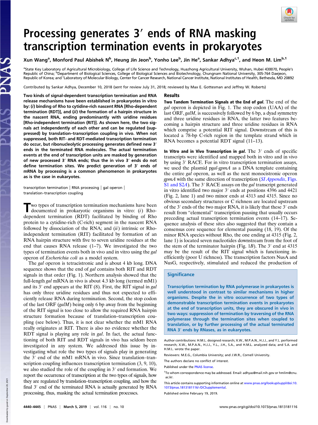 Ends of RNA Masking Transcription Termination Events in Prokaryotes