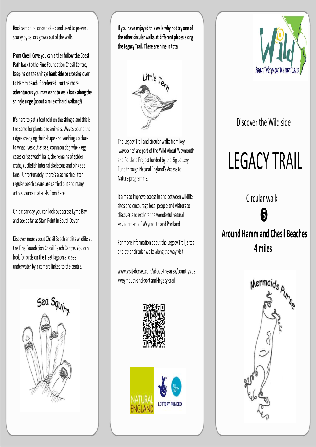 Legacy Trail