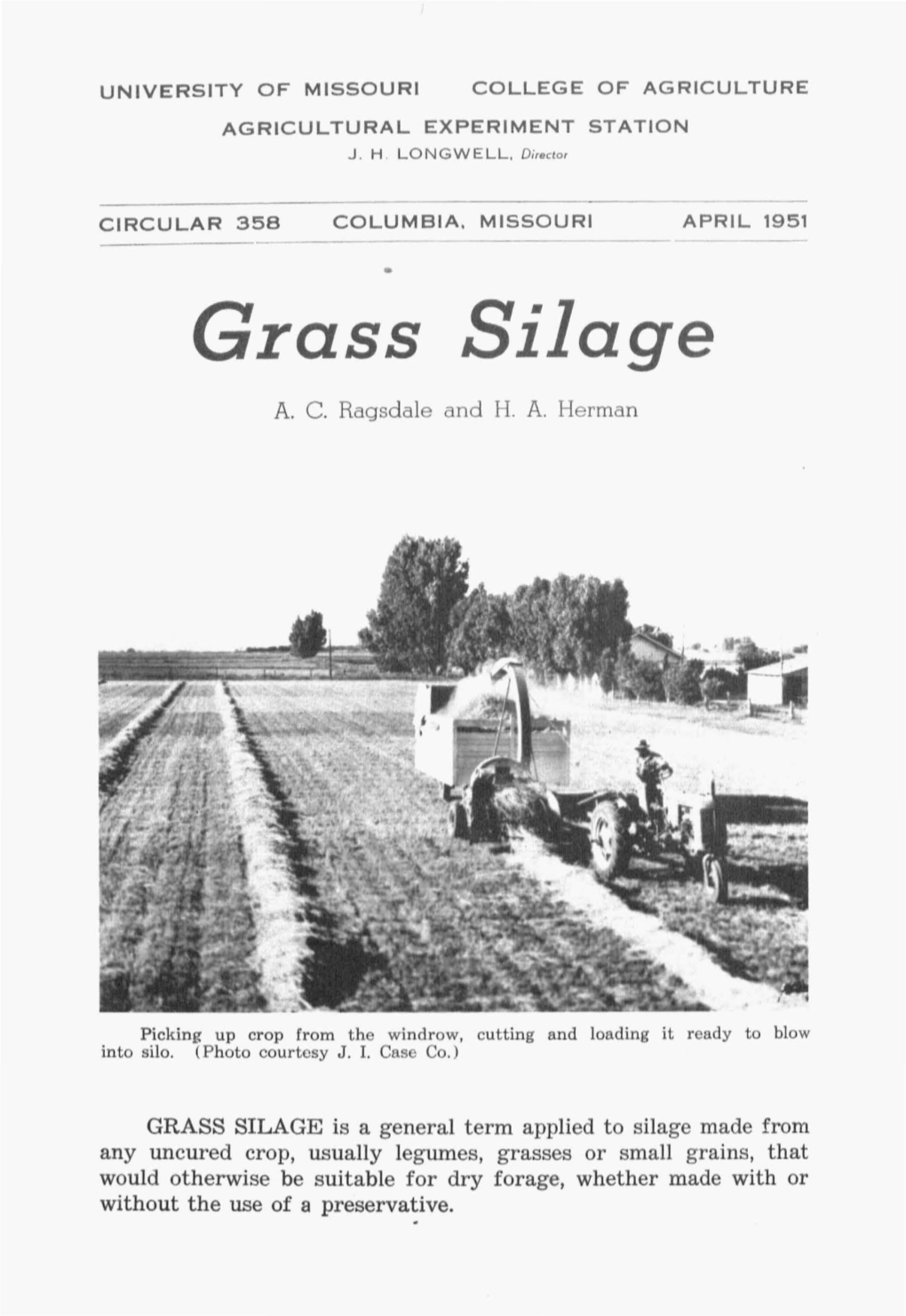 Grass Silage