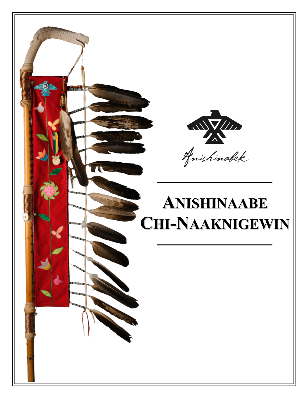 Ngo Dwe Waangizid Anishinaabe