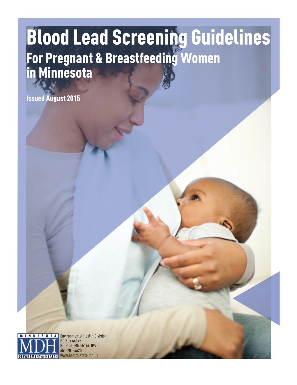 Blood Lead Screening Guidelines for Pregnant and Breastfeeding Women in Minnesota