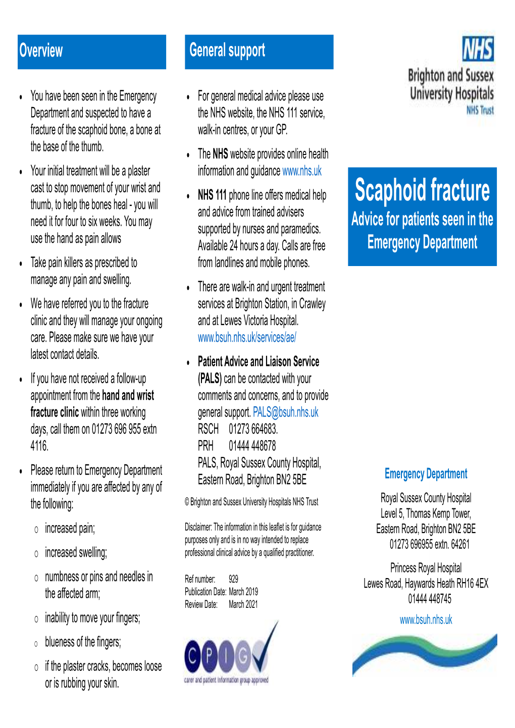 Scaphoid Fracture and Advice from Trained Advisers Need It for Four to Six Weeks