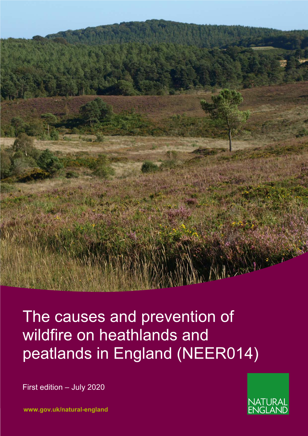 The Causes and Prevention of Wildfire on Heathlands and Peatlands in England (NEER014)