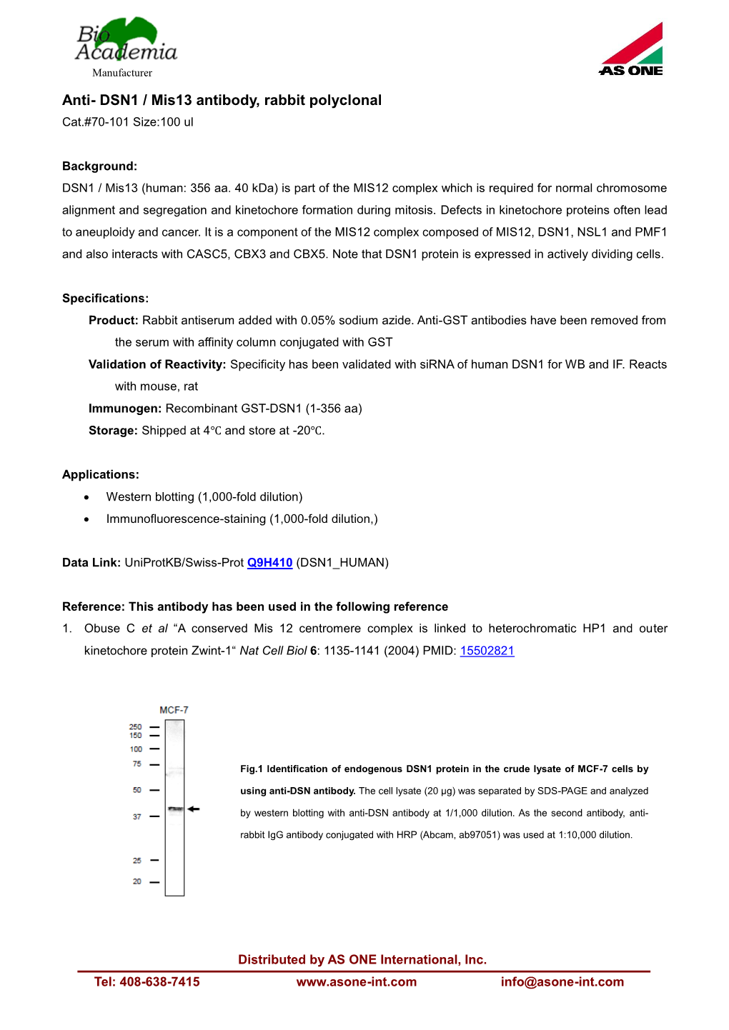 70-101 Anti-DSN1 Mis13 Antibody, Rabbit Polyclonal 03212018