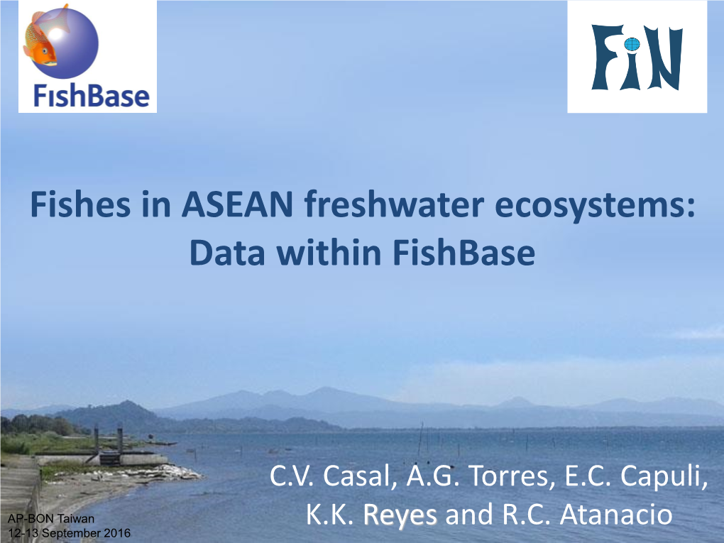 Fishes in ASEAN Freshwater Ecosystems: Status, Data Gaps and Collaboration Needs