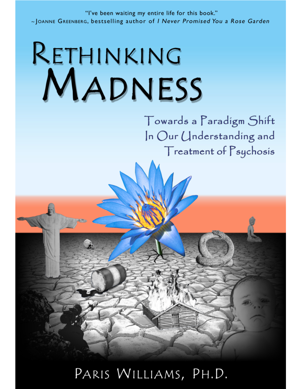 Acclaim for Rethinking Madness