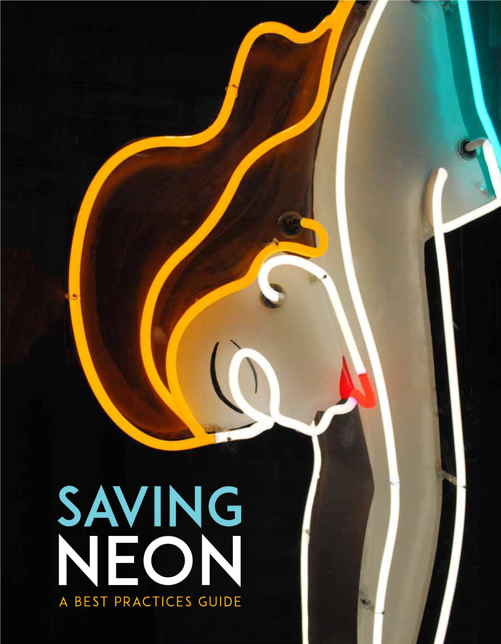 Saving Neon: a Best Practices Guide