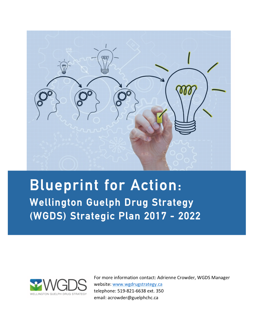 Blueprint for Action: Wellington Guelph Drug Strategy (WGDS) Strategic Plan 2017 - 2022