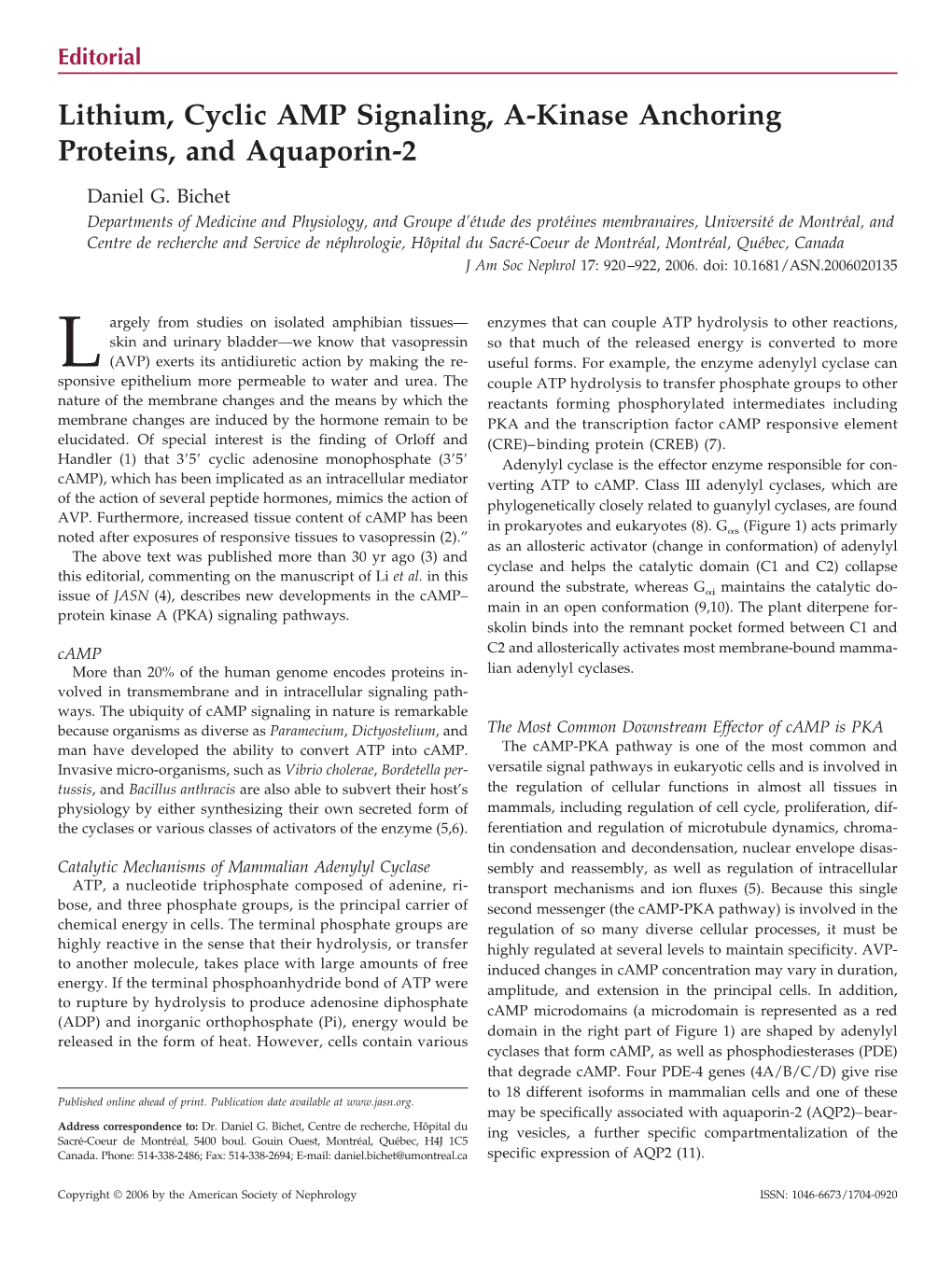 Lithium, Cyclic AMP Signaling, A-Kinase Anchoring Proteins, and Aquaporin-2