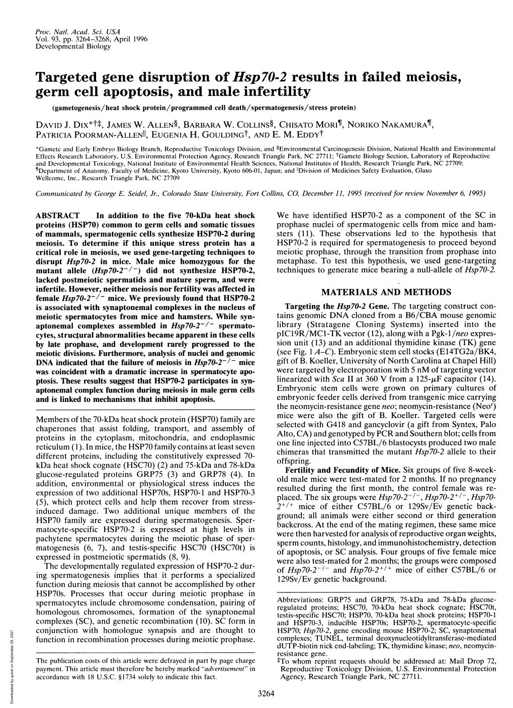 Germ Cell Apoptosis, and Male Infertility (Gametogenesis/Heat Shock Protein/Programmed Cell Death/Spermatogenesis/Stress Protein) DAVID J