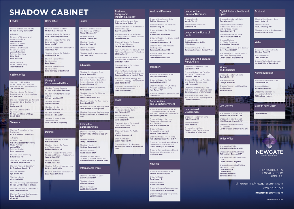 Shadow Cabinet