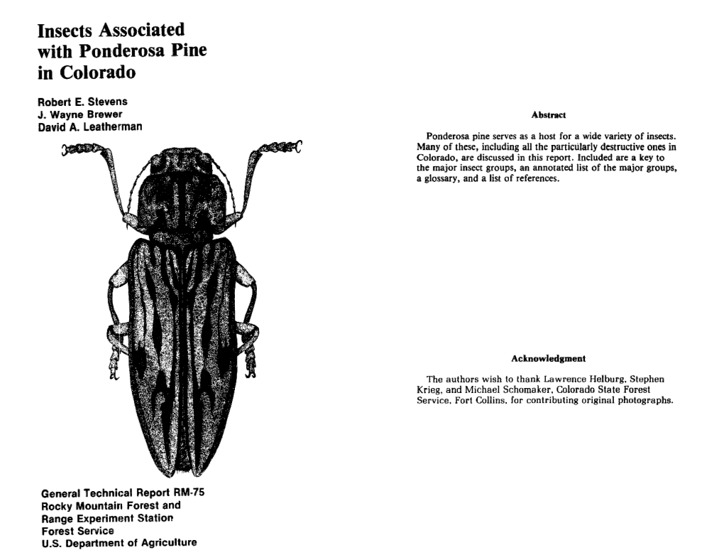 Insects Associated with Ponderosa Pine in Colorado