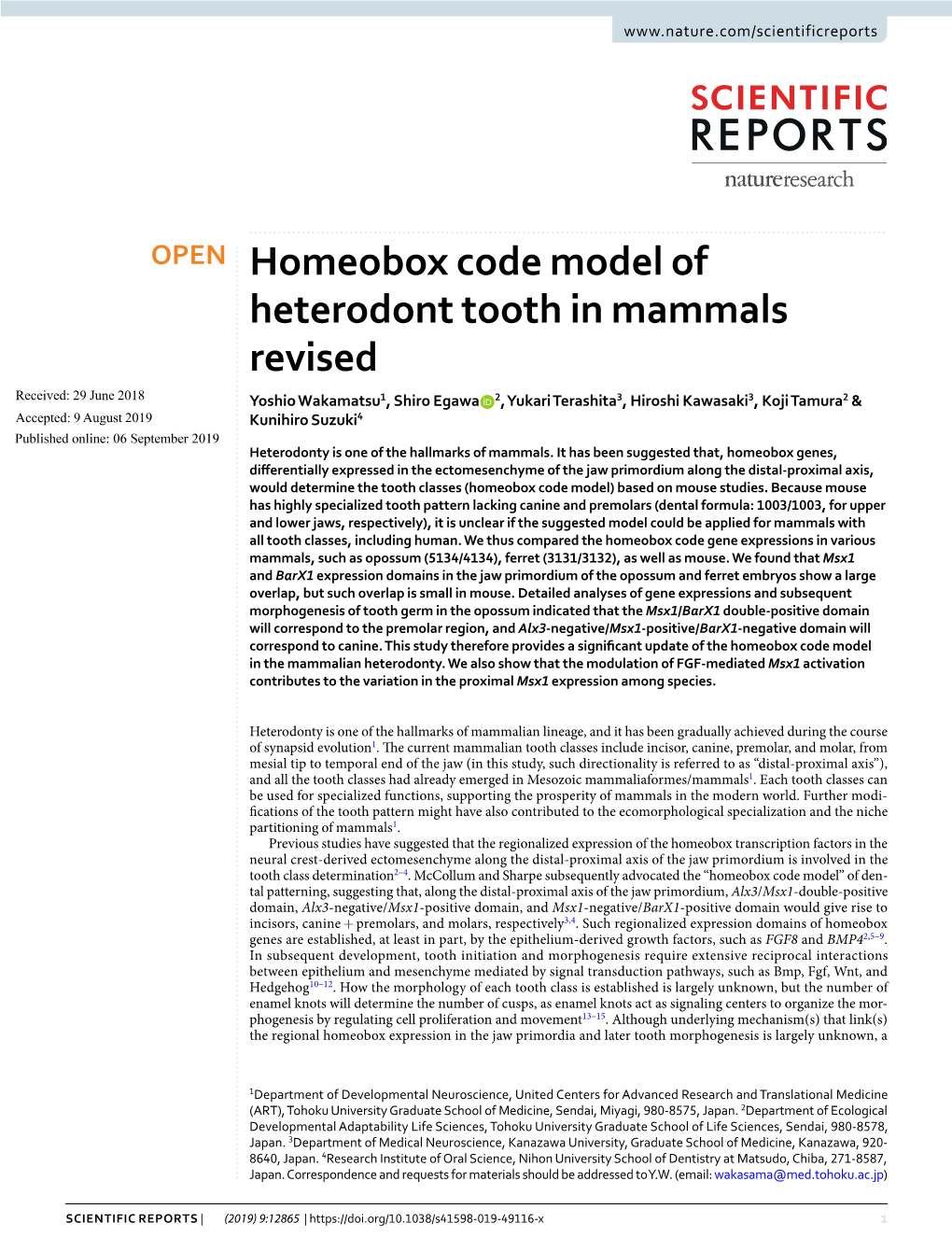 Homeobox Code Model of Heterodont Tooth in Mammals Revised