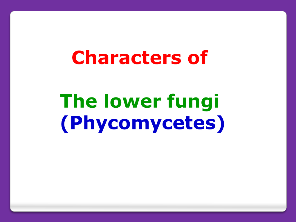 Characters of the Lower Fungi (Phycomycetes)