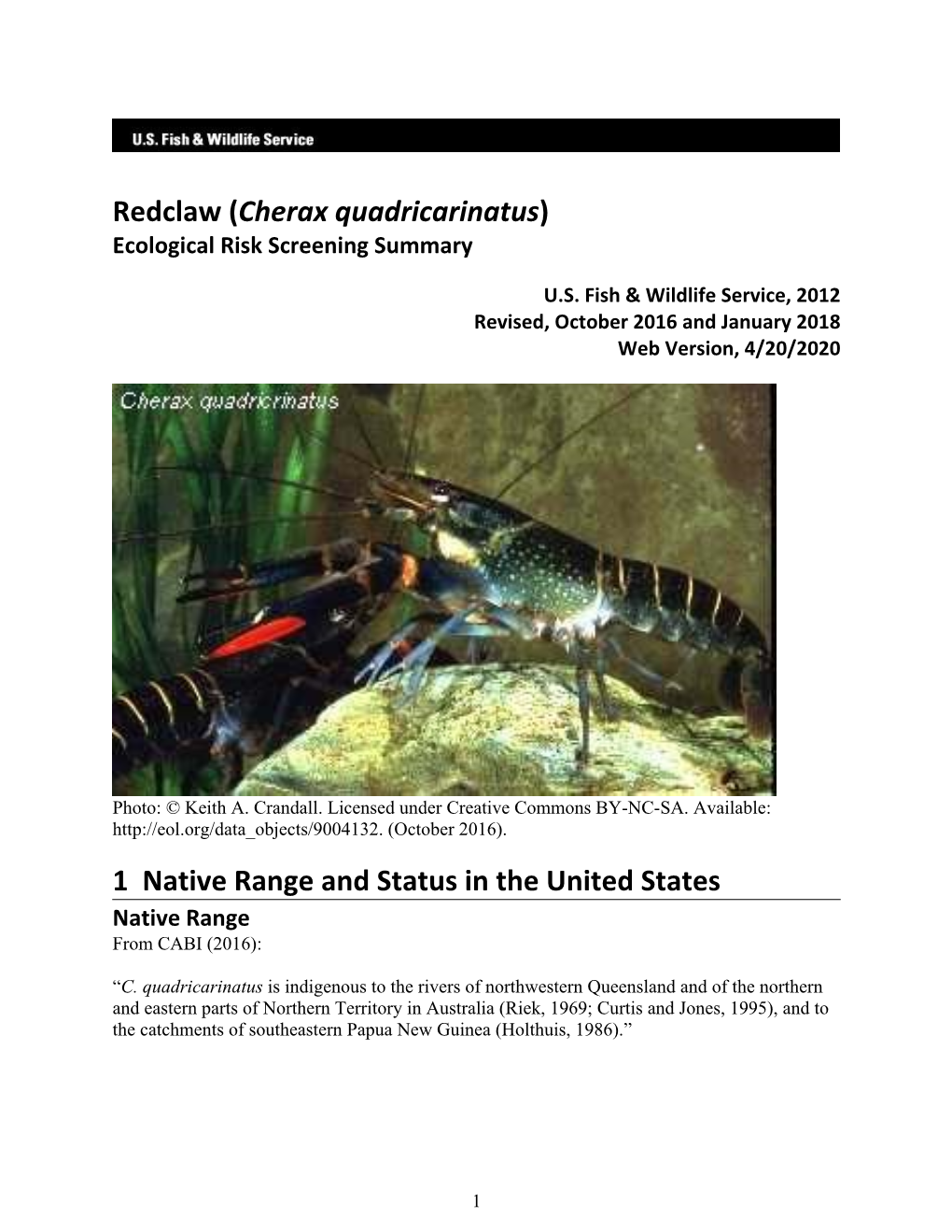 Redclaw (Cherax Quadricarinatus) Ecological Risk Screening Summary