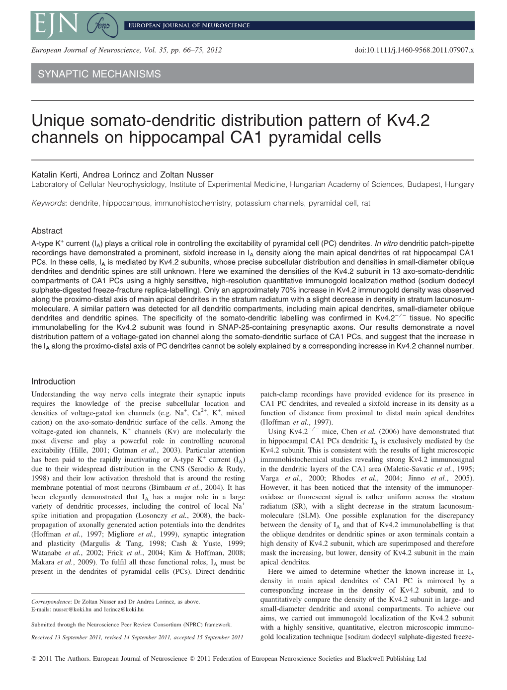 Unique Somatodendritic Distribution Pattern of Kv4.2 Channels On