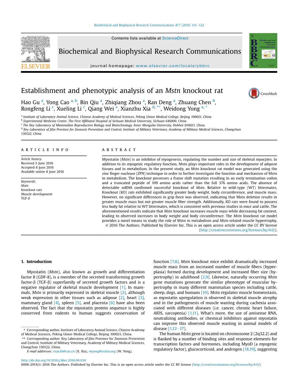 Establishment and Phenotypic Analysis of an Mstn Knockout Rat