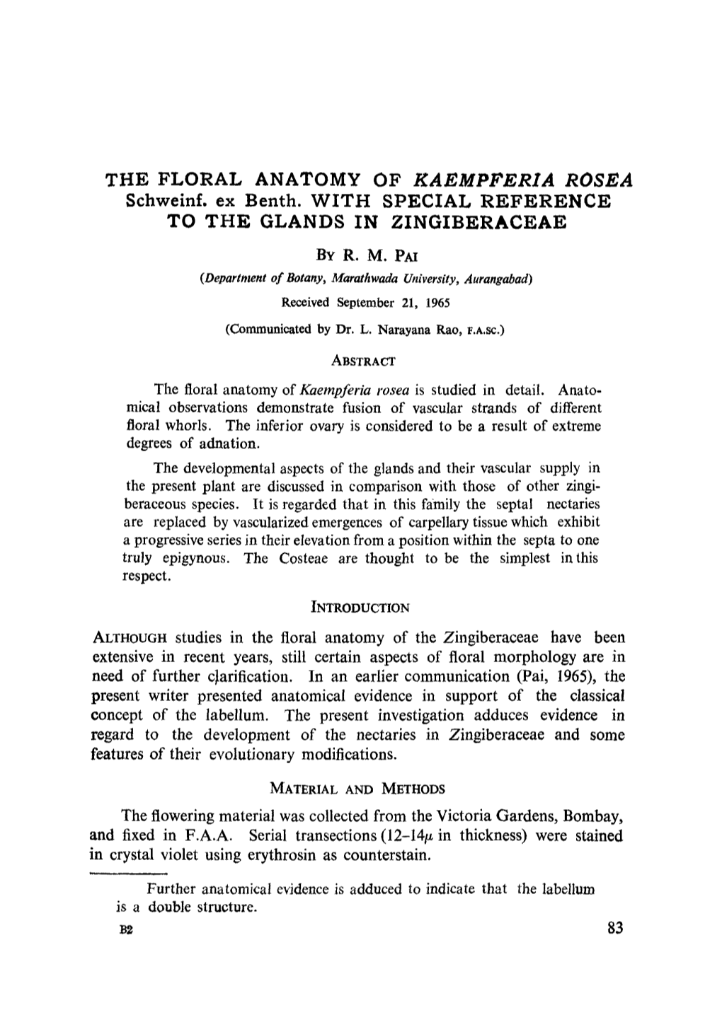 The Floral Anatomy of &lt;Emphasis Type="Italic"&gt;Kaempferia Rosea