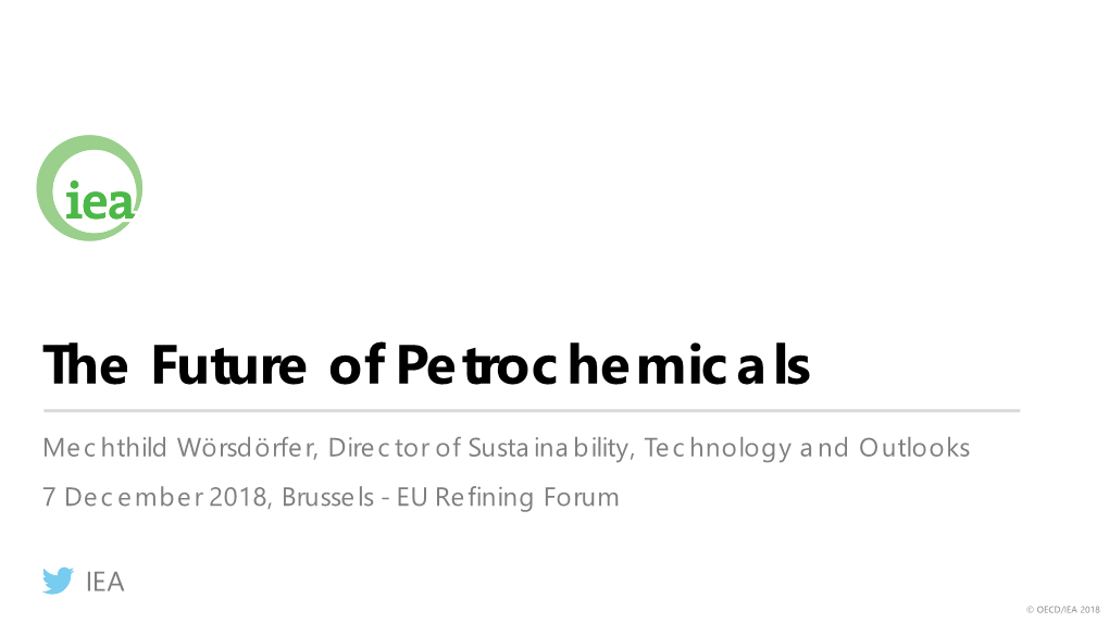 The Future of Petrochemicals