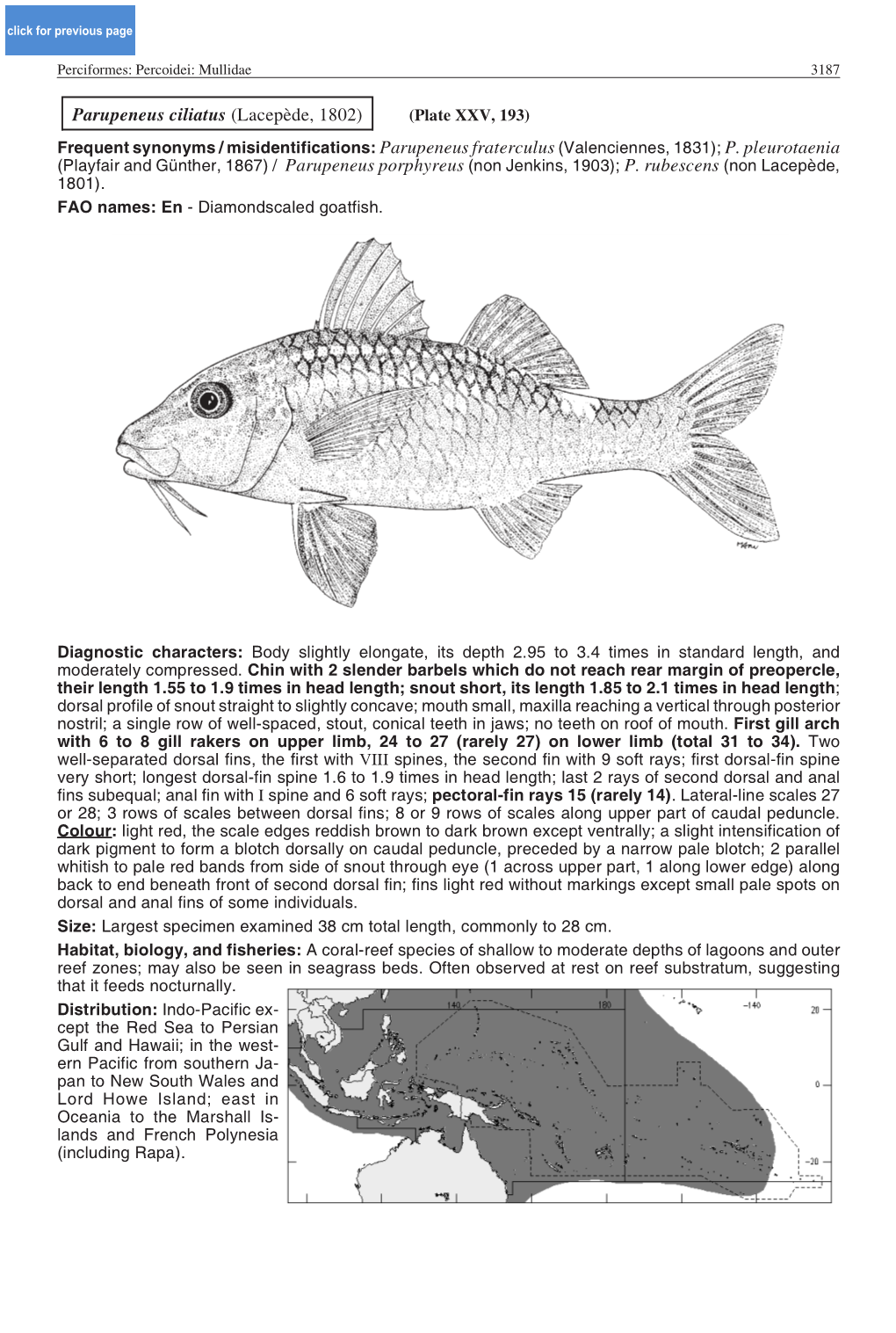 Parupeneus Ciliatus (Lacepède, 1802) (Plate XXV, 193) Frequent Synonyms / Misidentifications: Parupeneus Fraterculus (Valenciennes, 1831); P