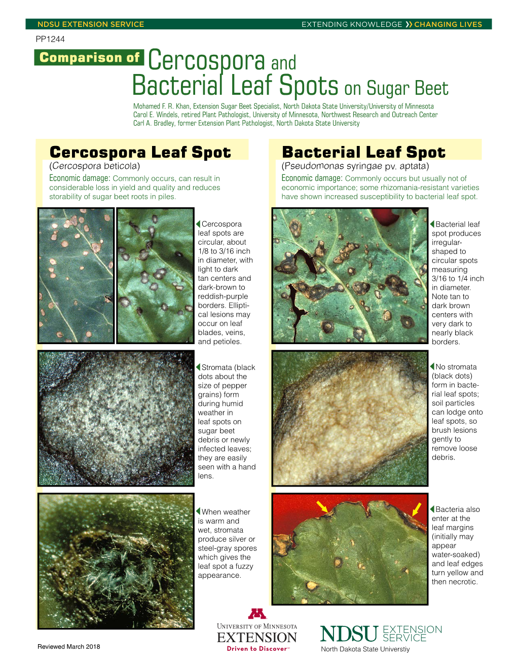 Comparison of Cercospora and Bacterial Leaf Spots on Sugar Beet Mohamed F