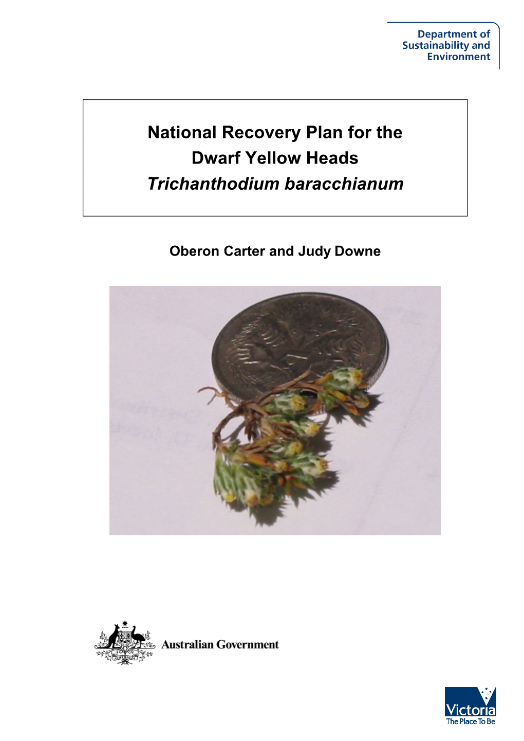 National Recovery Plan for the Dwarf Yellow Heads Trichanthodium Baracchianum