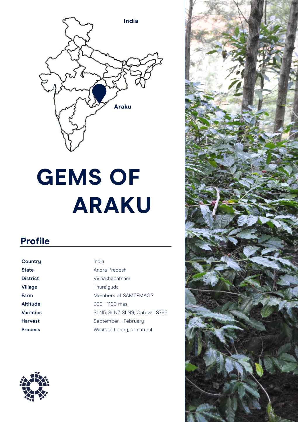 Gems of Araku