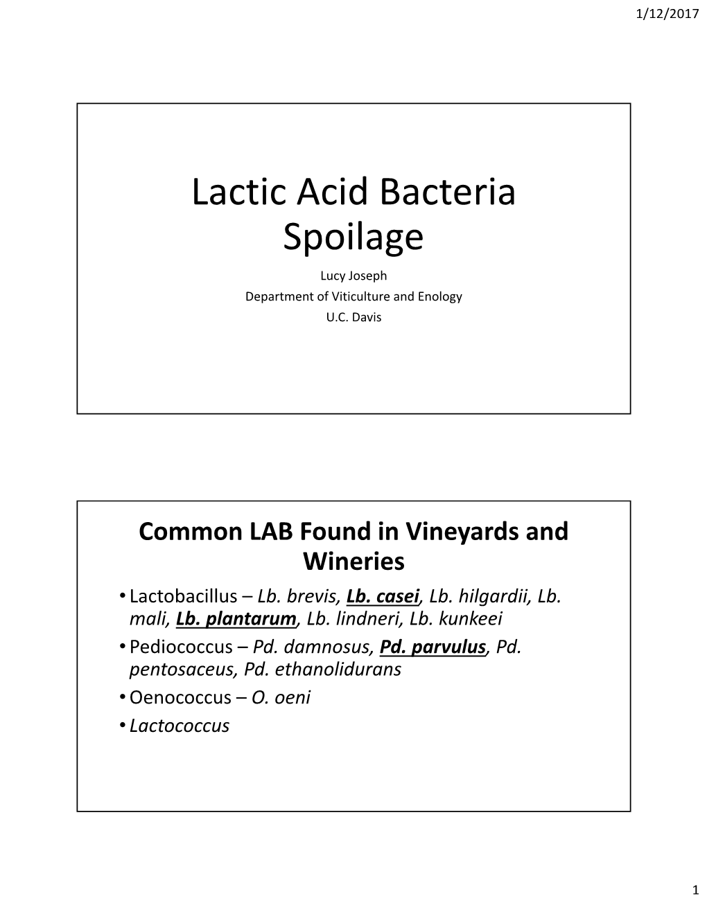 Lactic Acid Bacteria Spoilage Lucy Joseph Department of Viticulture and Enology U.C