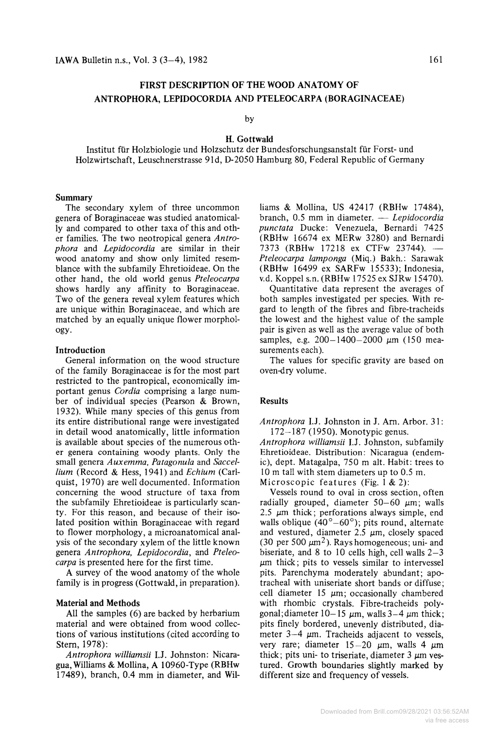 First Description of the Wood Anatomy of Antrophora, Lepidocordia and Pteleocarpa (Boraginaceae)