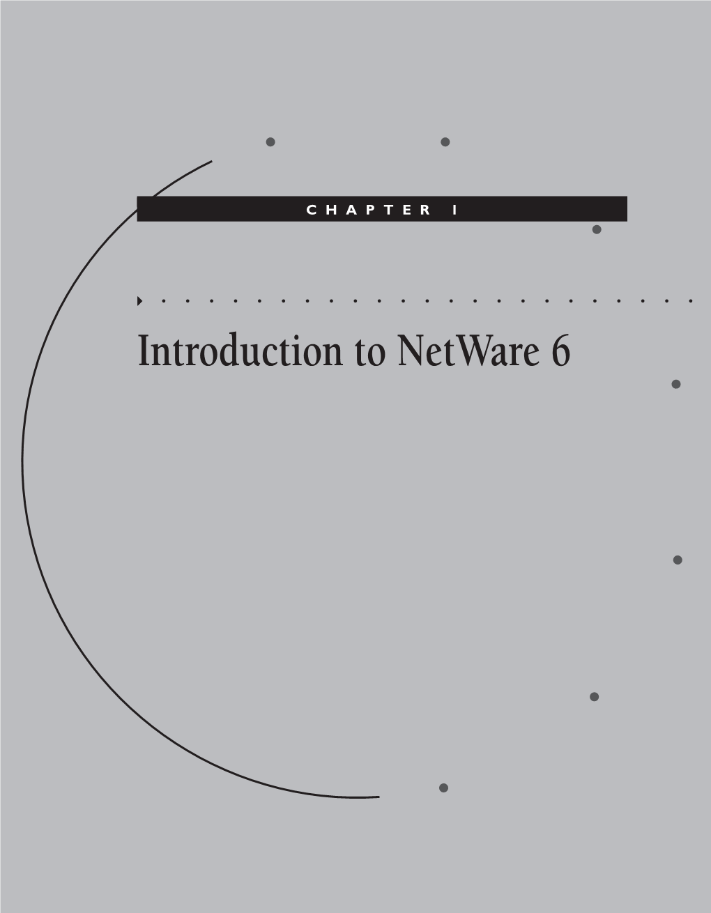 Introduction to Netware 6 034876-X Ch01.F 1/24/02 4:45 PM Page 4