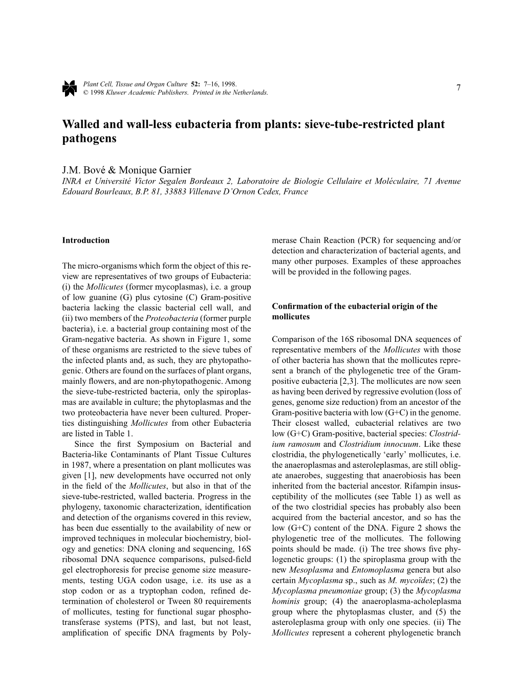 Walled and Wall-Less Eubacteria from Plants: Sieve-Tube-Restricted Plant Pathogens