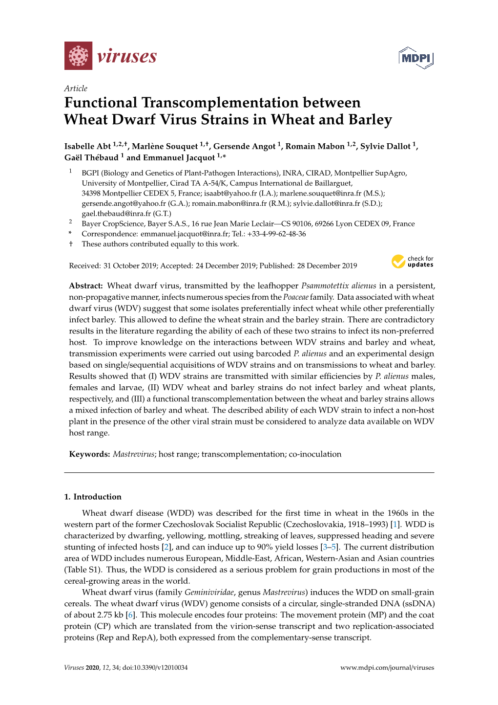 Functional Transcomplementation Between Wheat Dwarf Virus Strains in Wheat and Barley